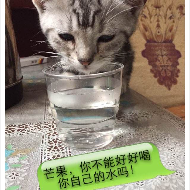 日本薬科大学教育部认证办理